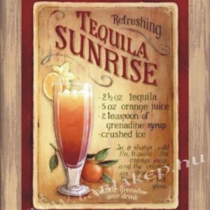 Koktél Tequila Sunrise táblakép