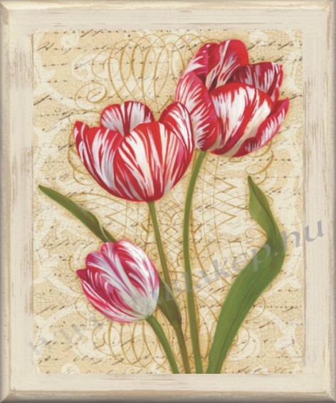 Tulipán nyílt táblakép